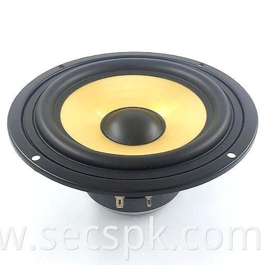 Coil 25 Woofer Speaker